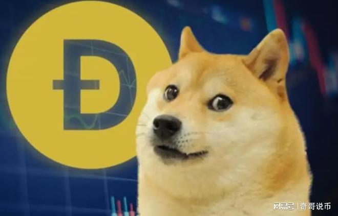 狗狗幣今日行情概覽，最新價格走勢分析
