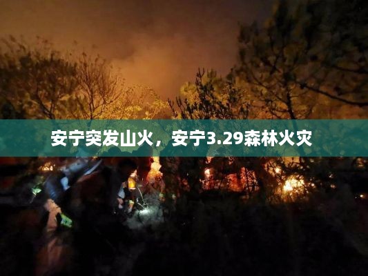 2025年1月 第374頁(yè)