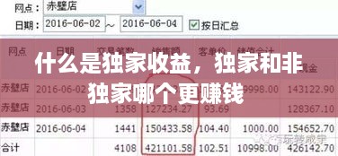 什么是獨(dú)家收益，獨(dú)家和非獨(dú)家哪個(gè)更賺錢 