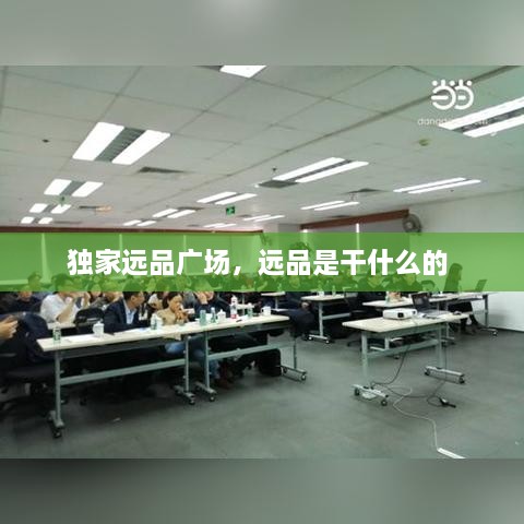 獨家遠品廣場，遠品是干什么的 