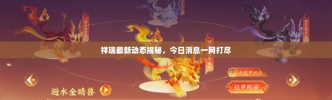 祥瑞最新動態(tài)揭秘，今日消息一網(wǎng)打盡