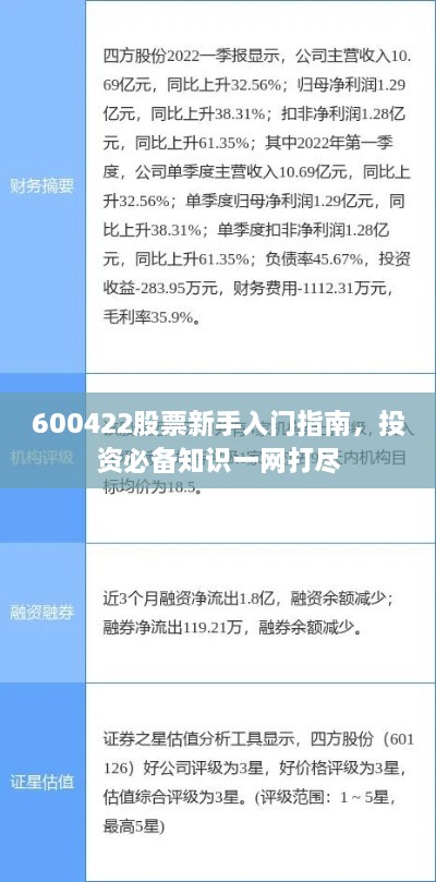 600422股票新手入門指南，投資必備知識一網(wǎng)打盡