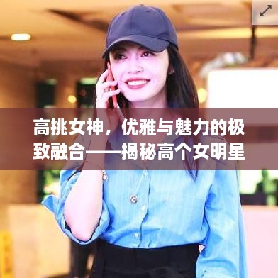 高挑女神，優(yōu)雅與魅力的極致融合——揭秘高個(gè)女明星的魅力風(fēng)采