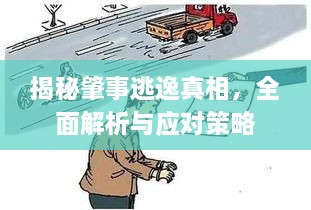 揭秘肇事逃逸真相，全面解析與應(yīng)對策略